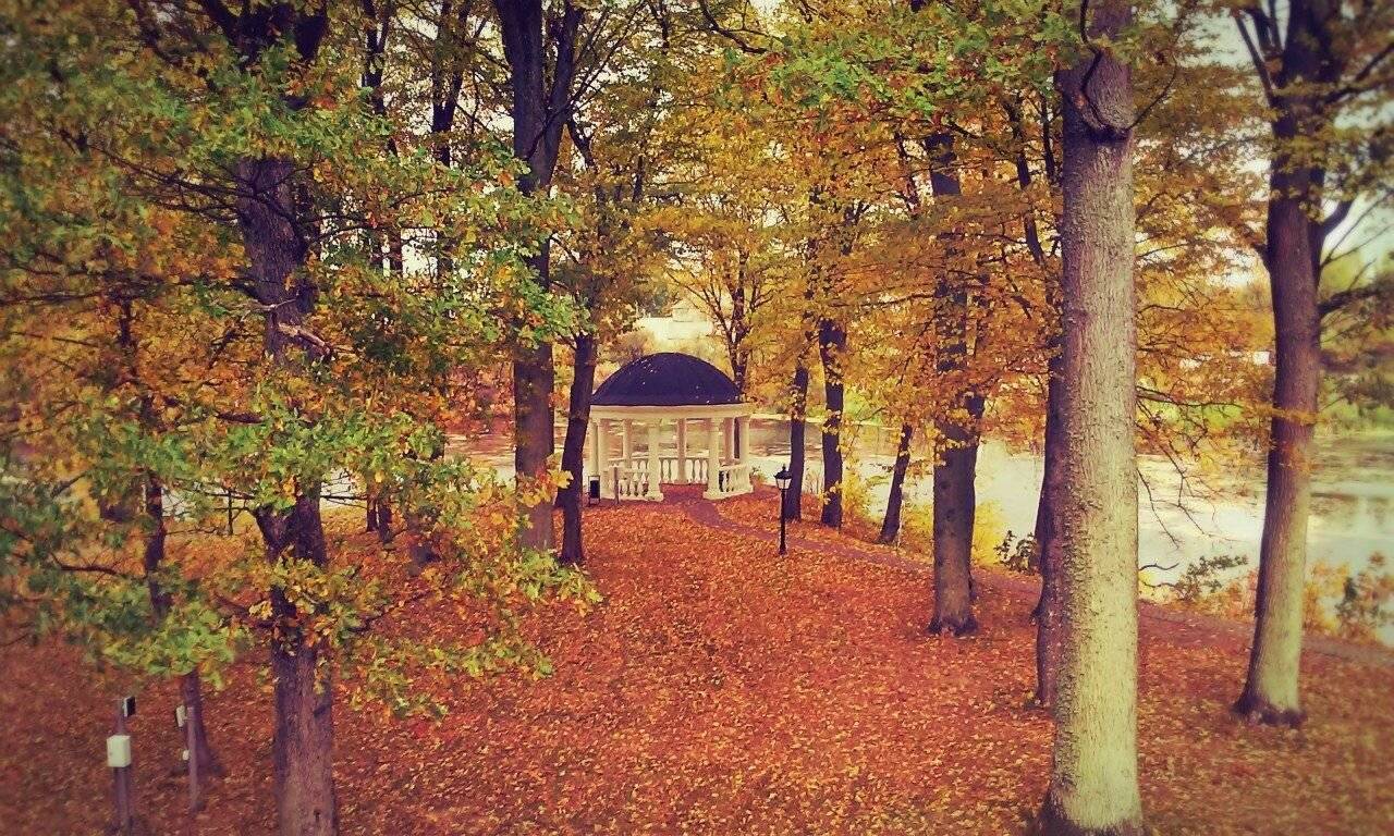 Фото Гостиницы Филипп Новоселово 30