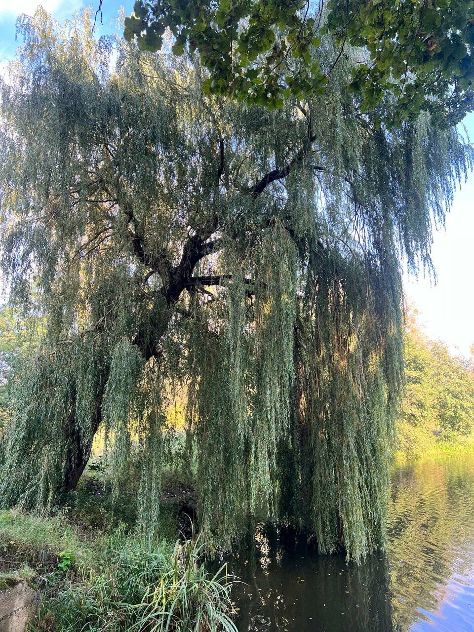 Фото Гостиницы Филипп Новоселово 138