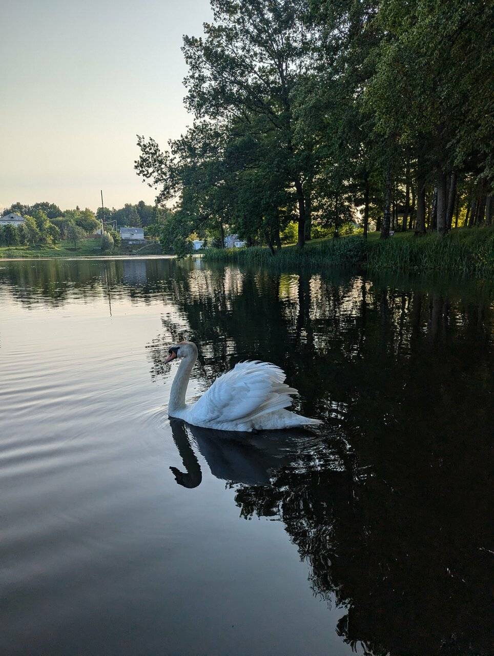 Фото Гостиницы Филипп Новоселово 152