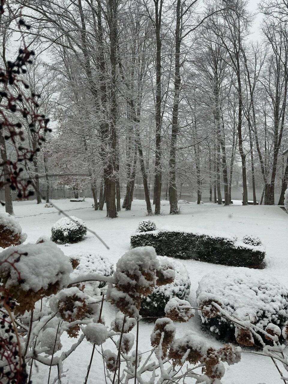 Фото Гостиницы Филипп Новоселово 198