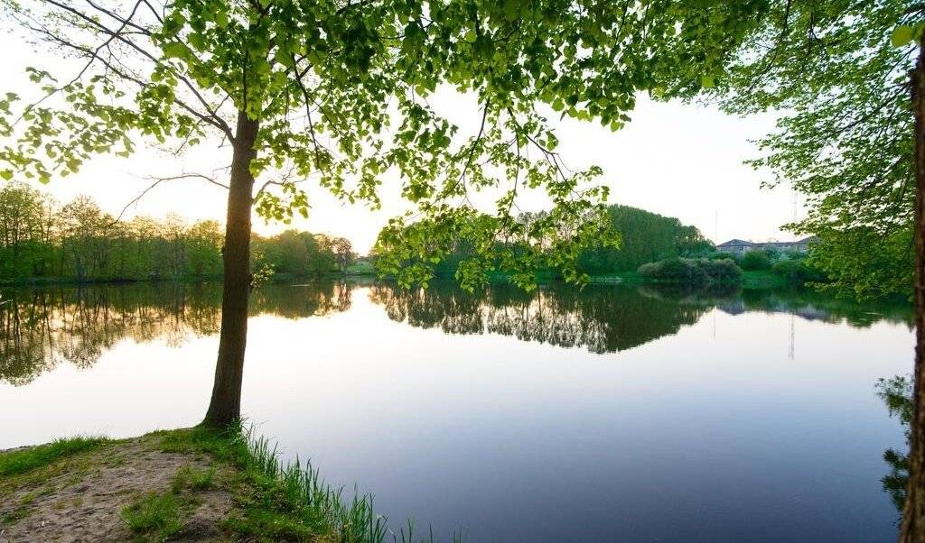 Фото Гостиницы Филипп Новоселово 26