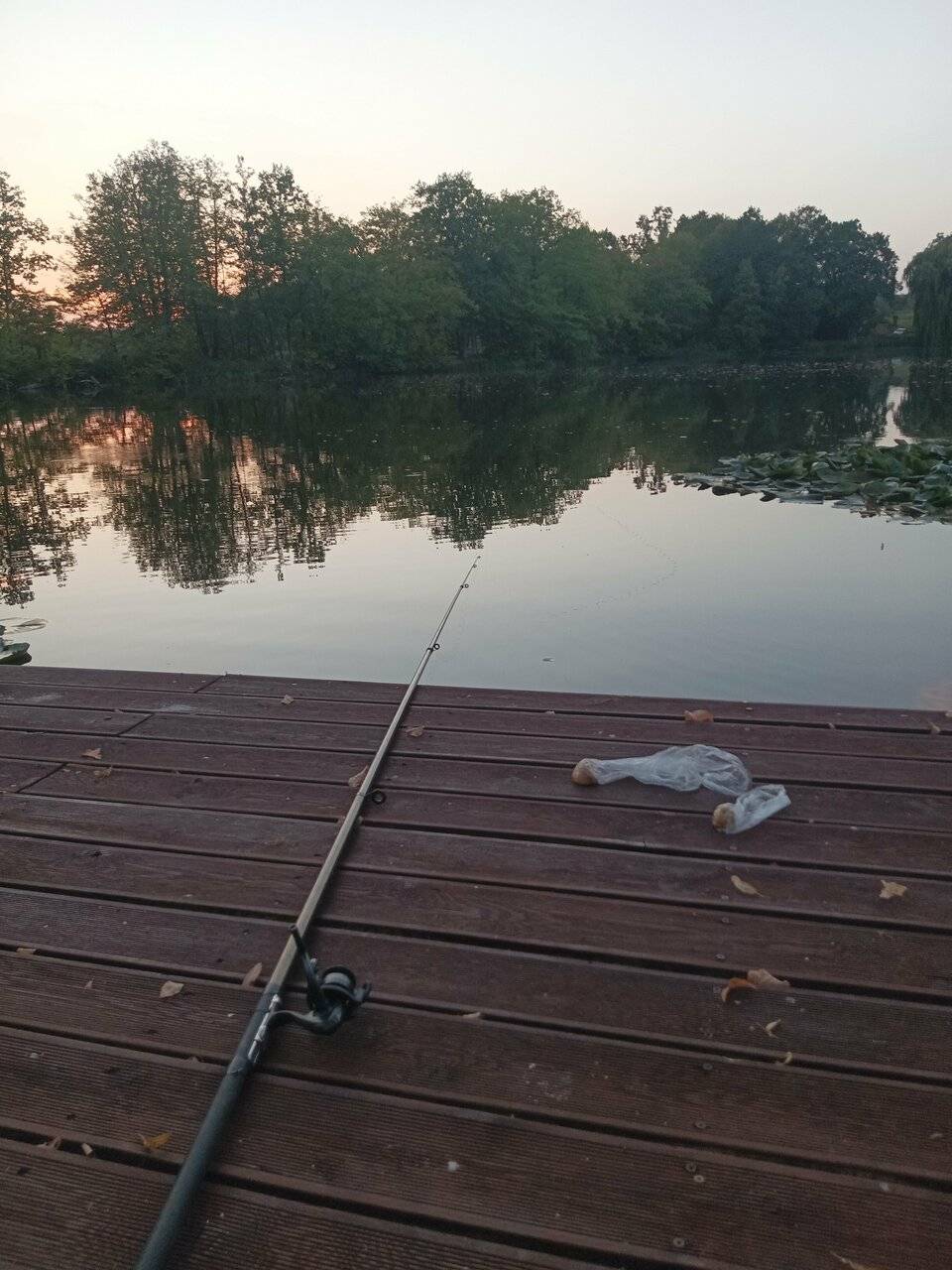 Фото Гостиницы Филипп Новоселово 163