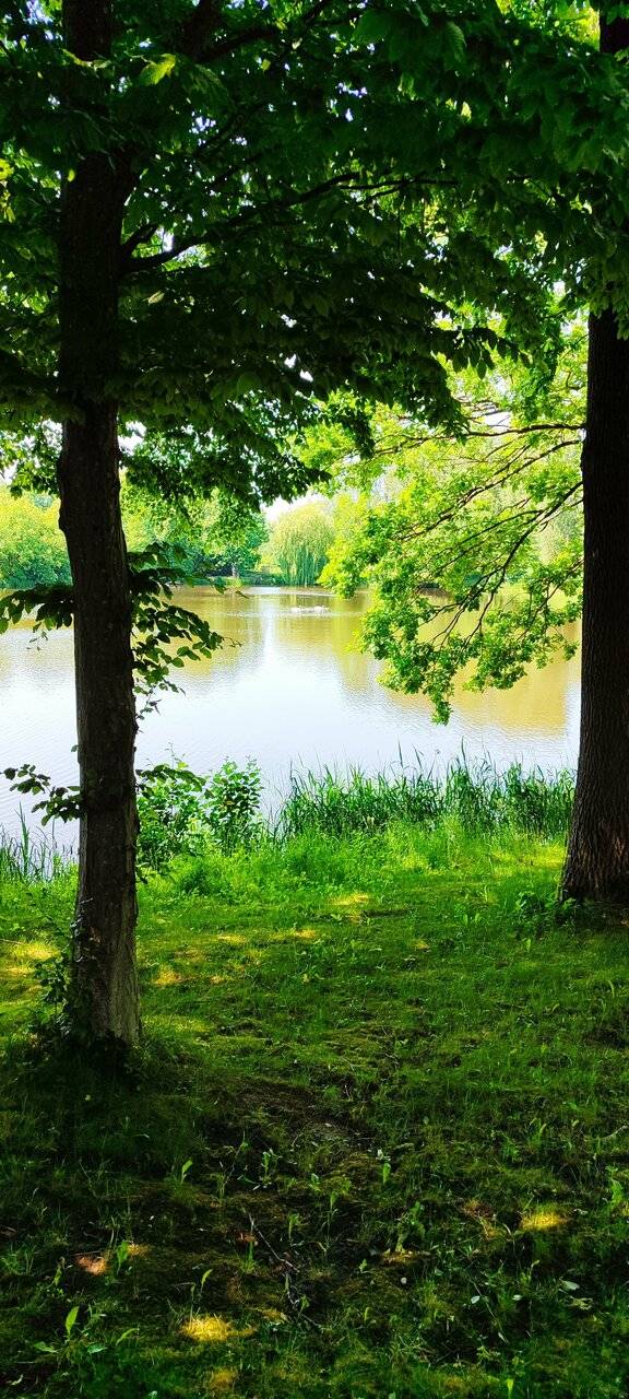 Фото Гостиницы Филипп Новоселово 242