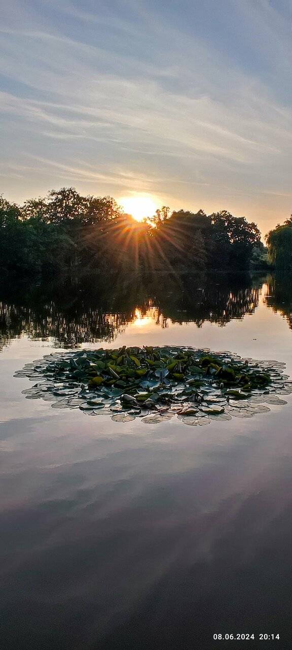 Фото Гостиницы Филипп Новоселово 175