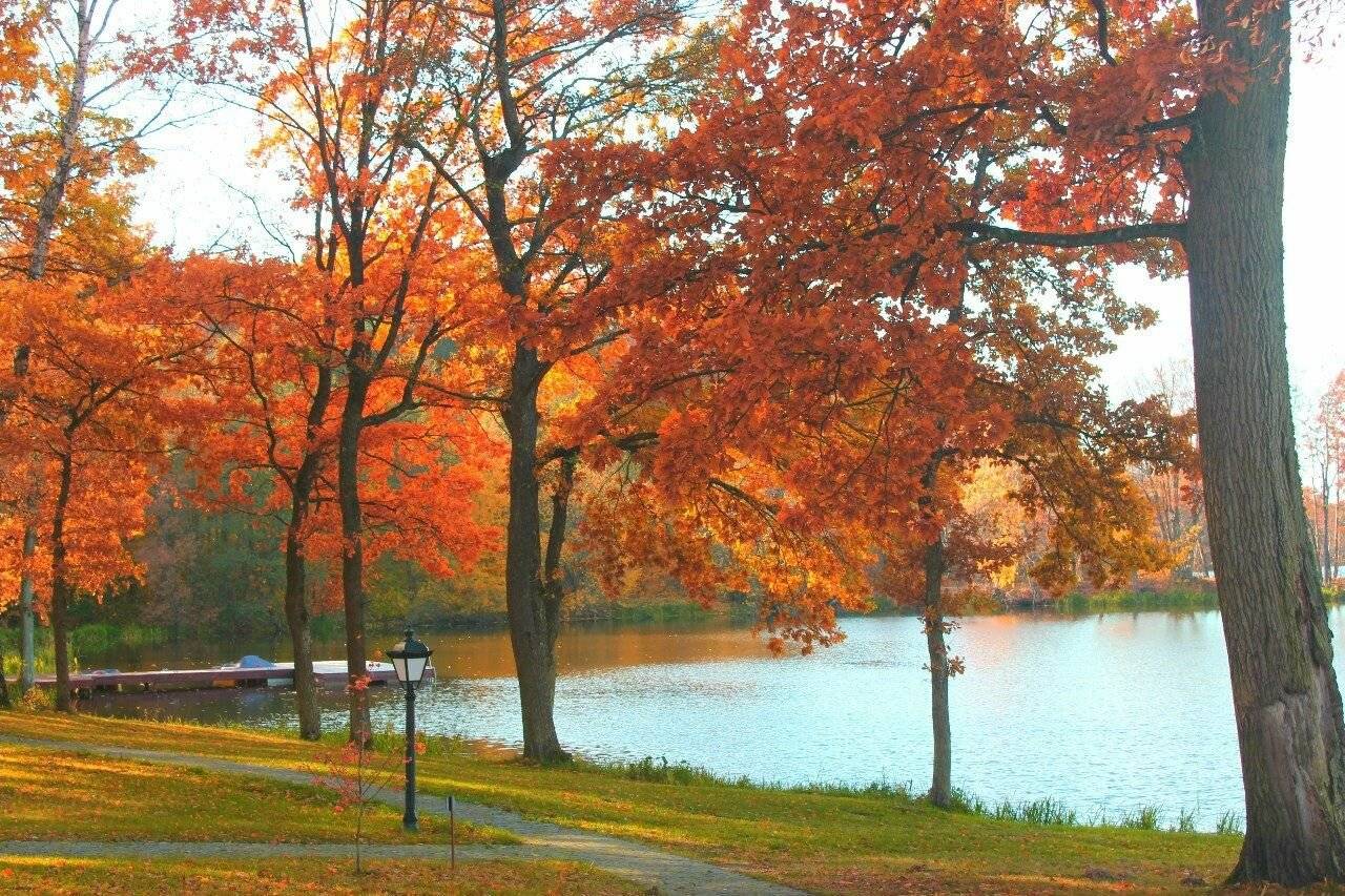 Фото Гостиницы Филипп Новоселово 31