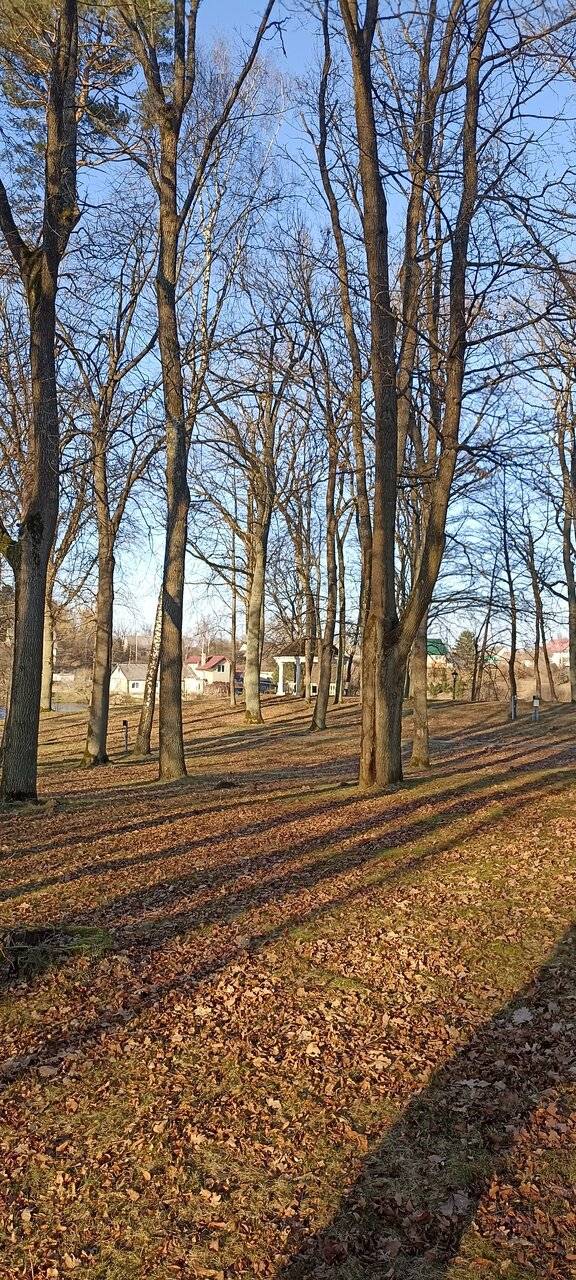 Фото Гостиницы Филипп Новоселово 236