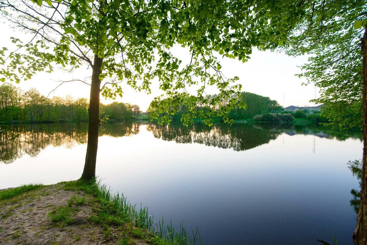 Фото Гостиницы Филипп Новоселово 123