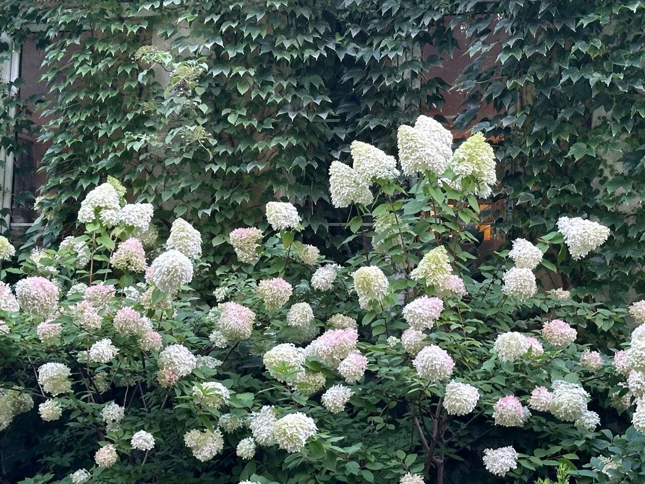 Фото Гостиницы Филипп Новоселово 132